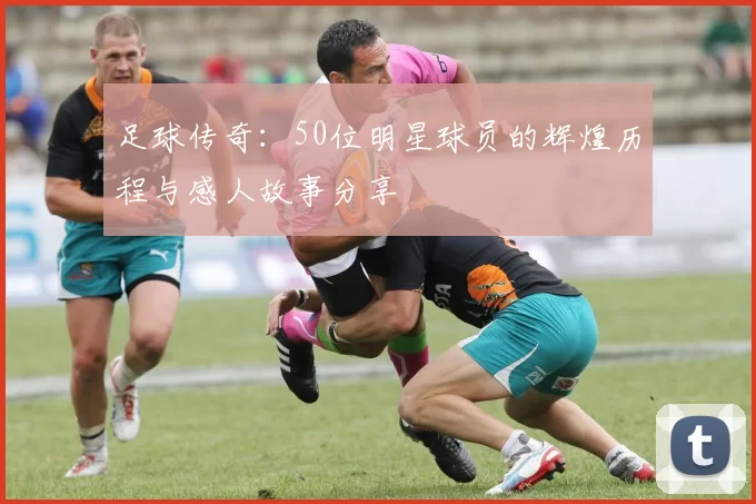 足球传奇：50位明星球员的辉煌历程与感人故事分享